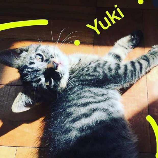 Yuki