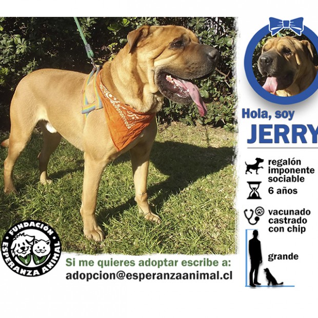 Jerry