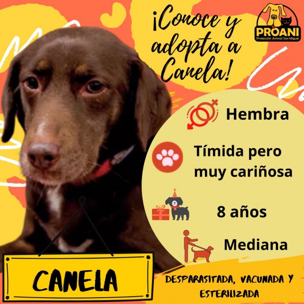 Canela
