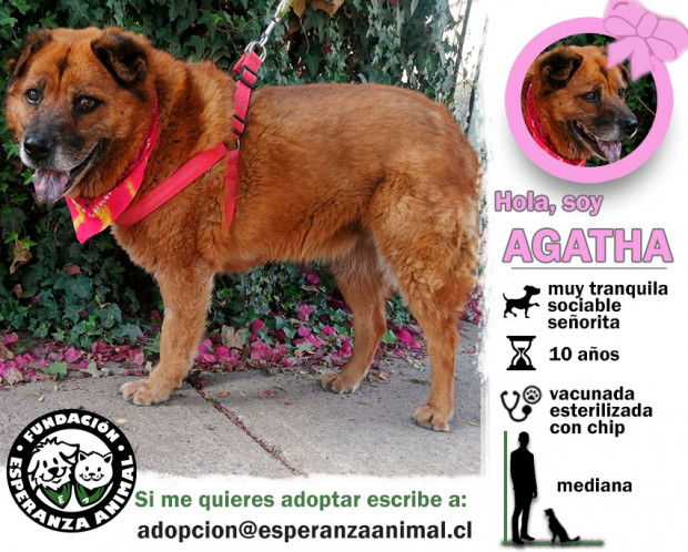 Agatha