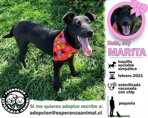 Marita