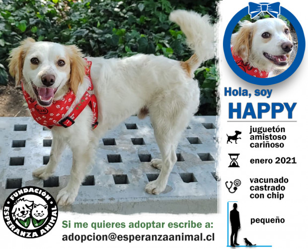 Happy