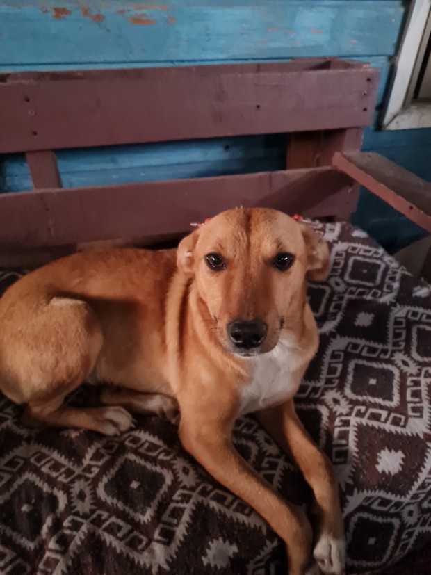 Almendra