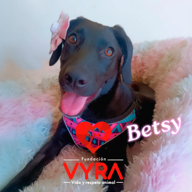 Betsy