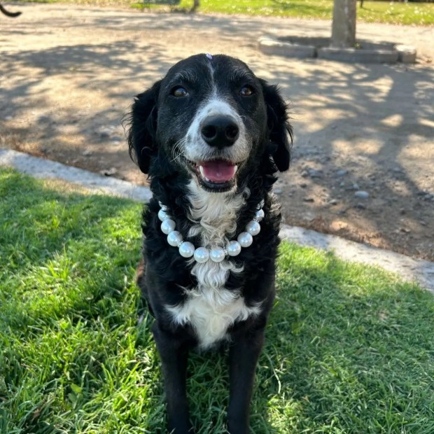Lulu