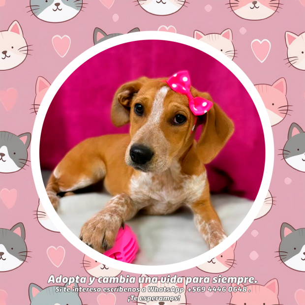 Minnie