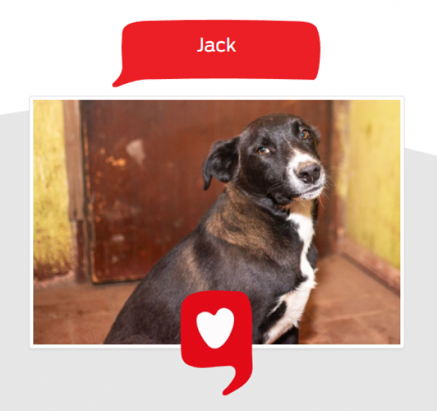 Jack