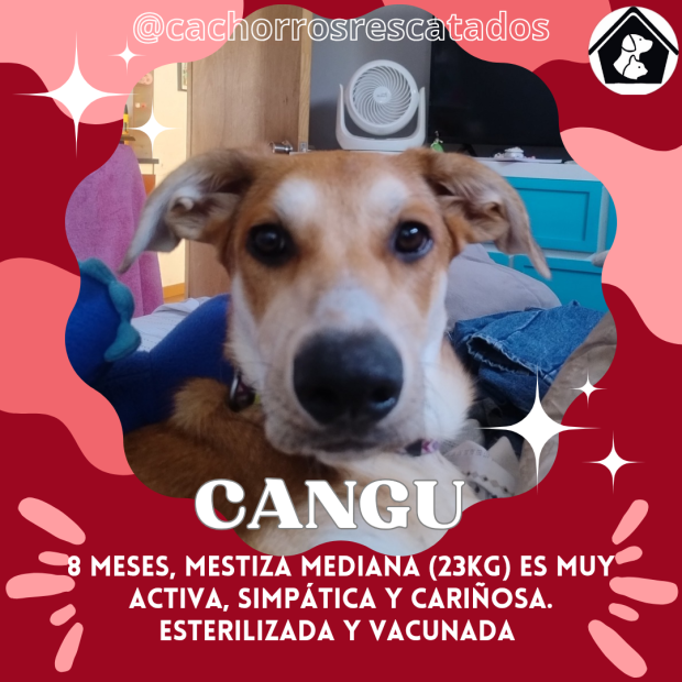 Cangu