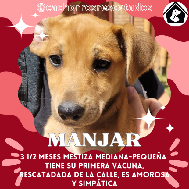 Manjar