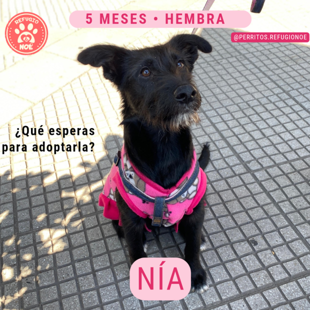 Nía