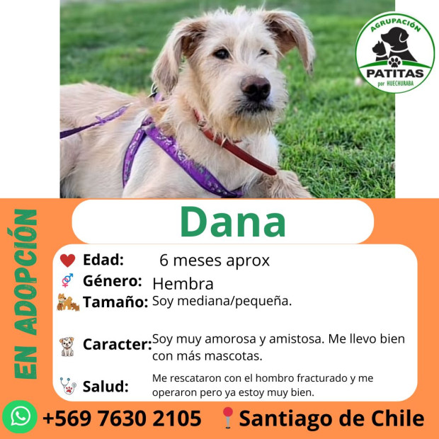 Danna