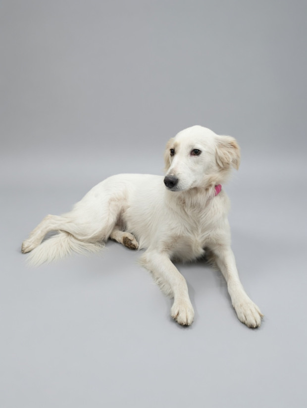 Blanca